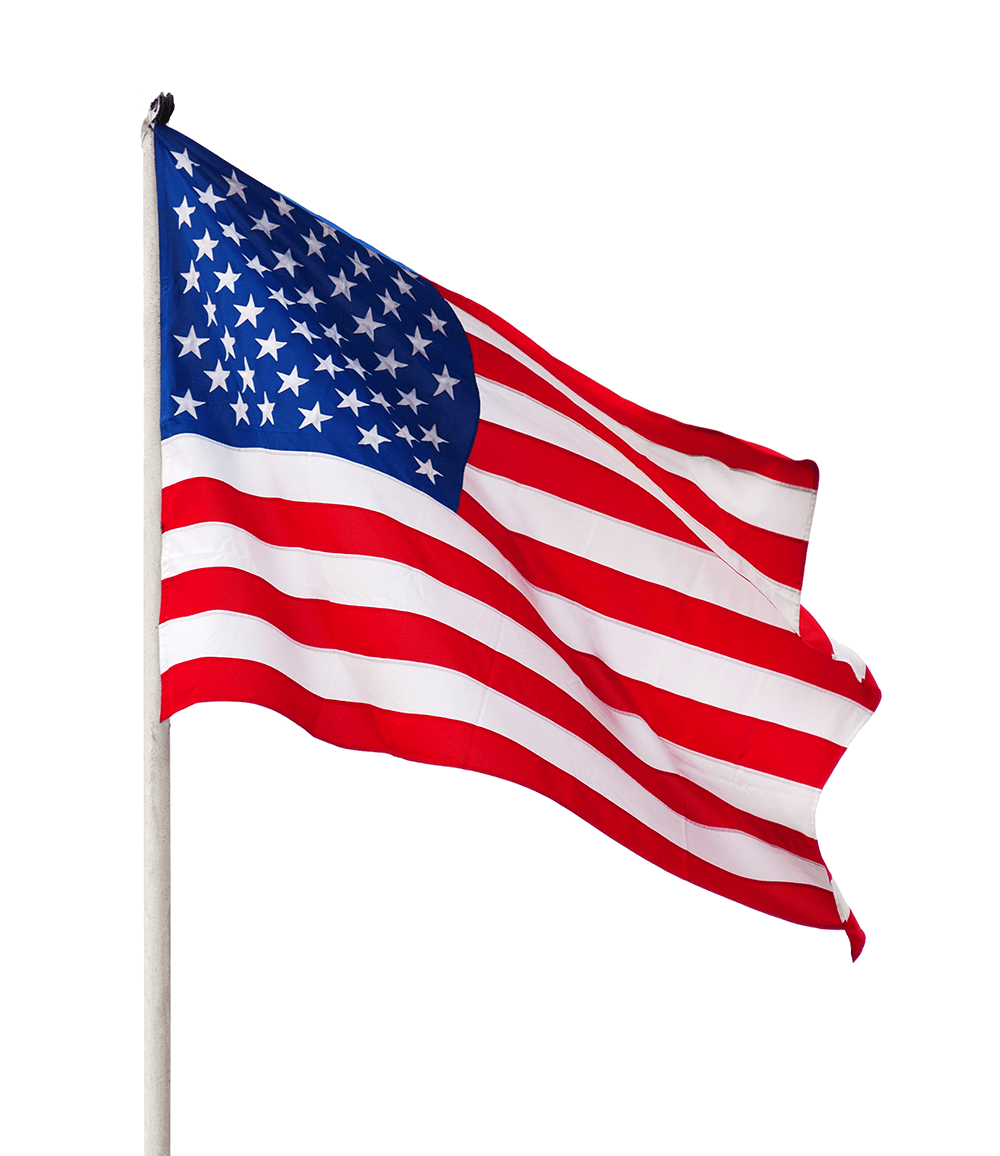 USA flag Picture