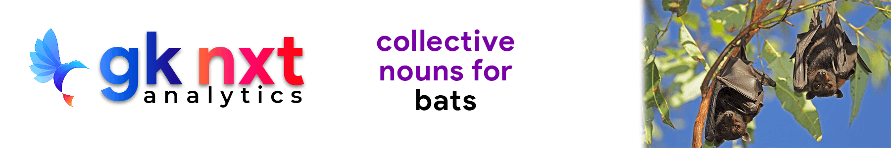 Collective Nouns for bats