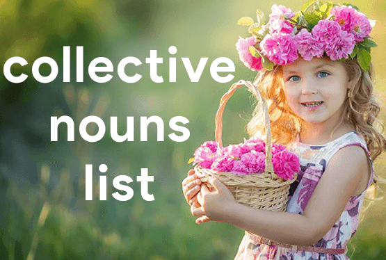 collective nouns list