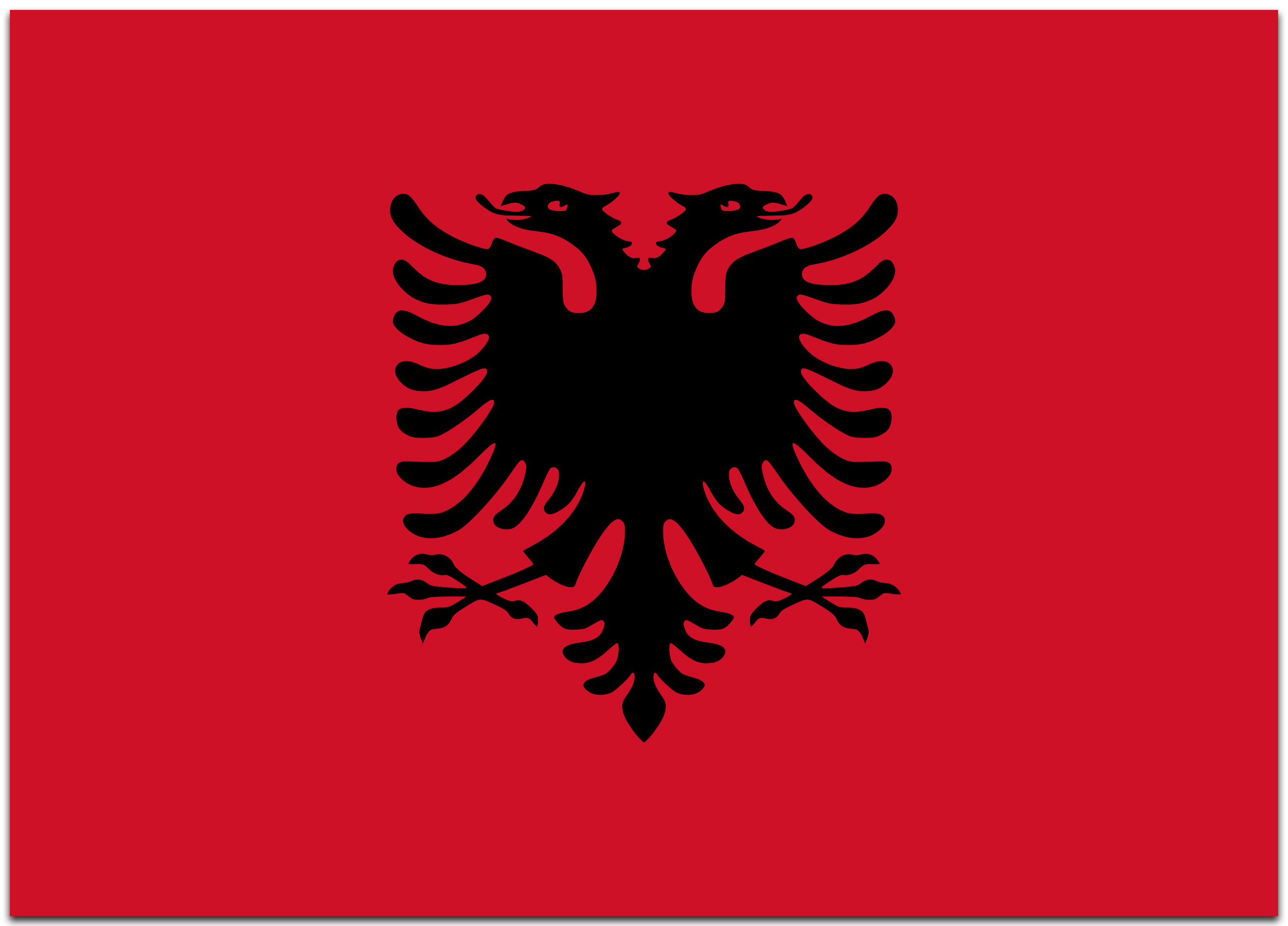 Albania flag