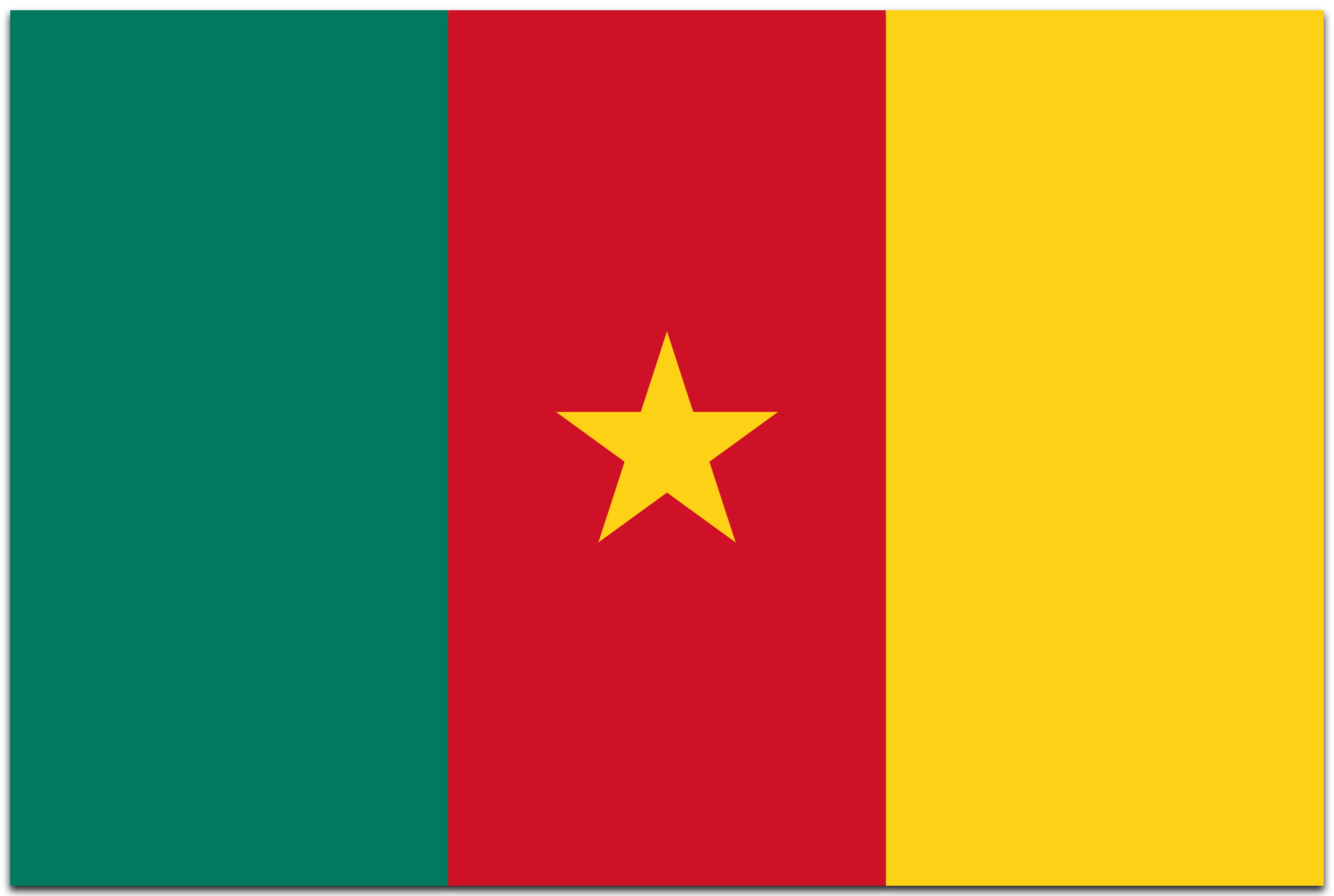 Cameroon flag