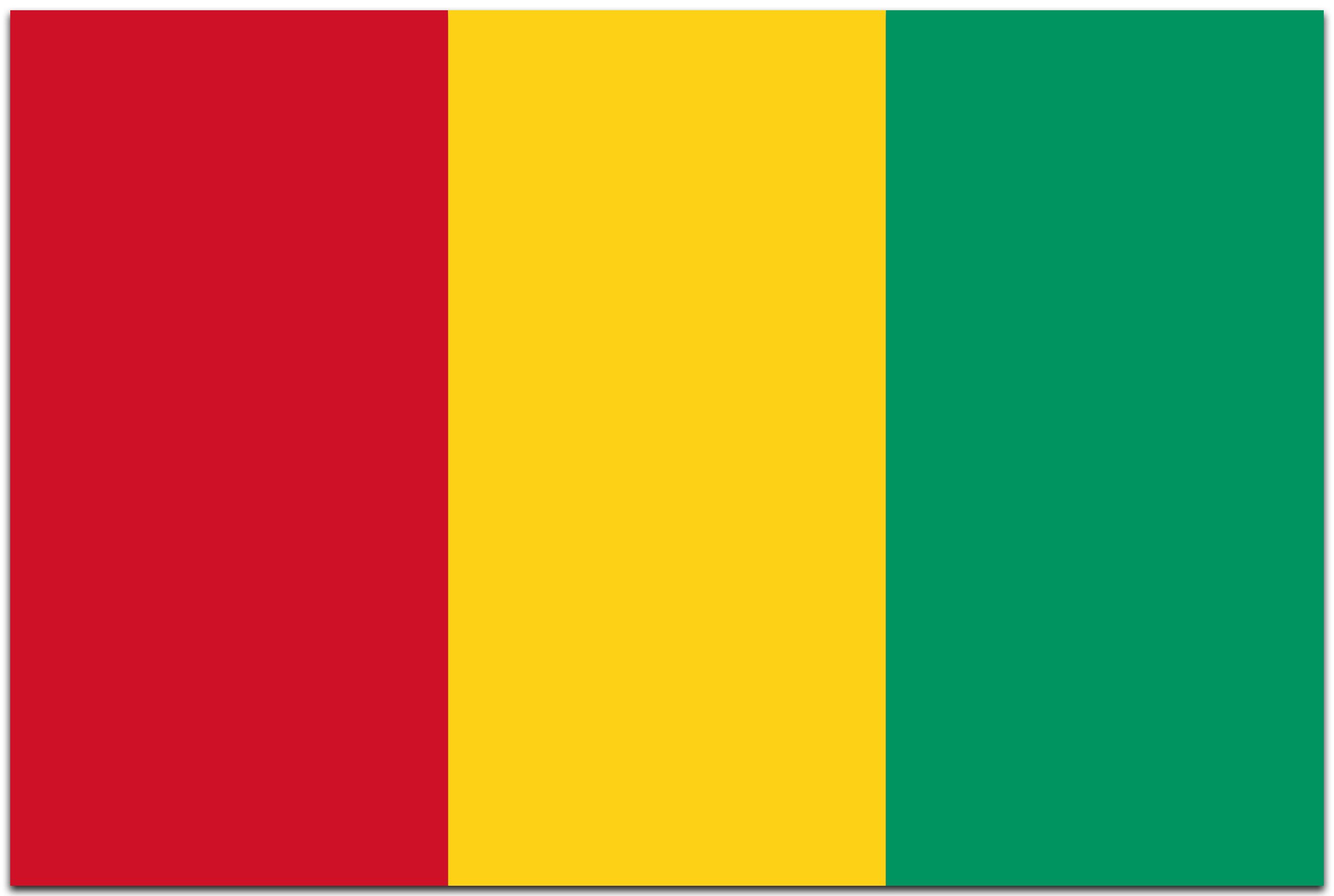 Guinea flag