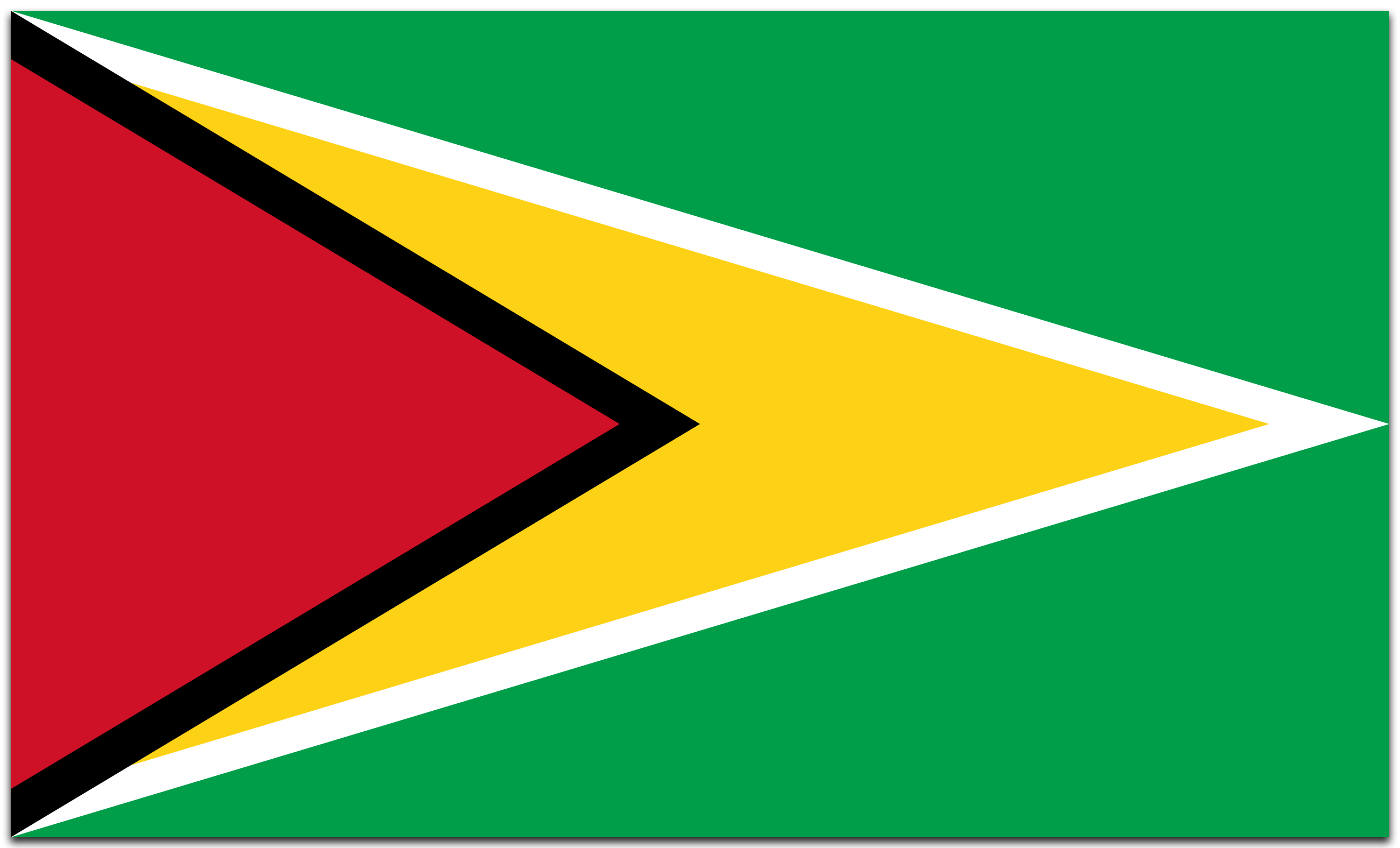 Guyana flag