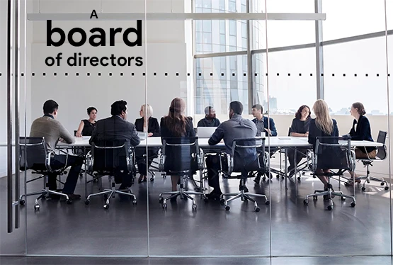 collective-nouns-for-directors