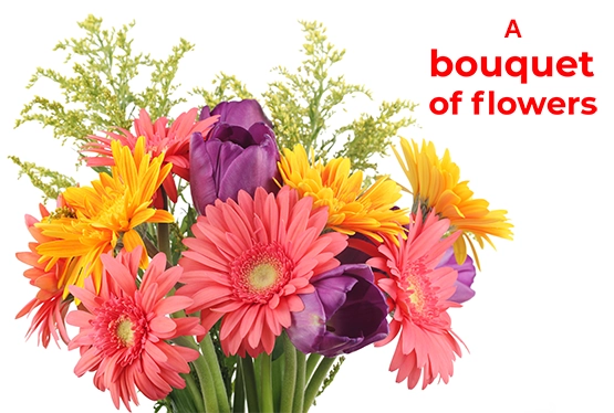 collective-nouns-for-flowers