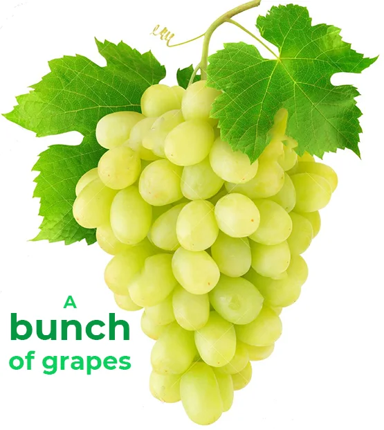 collective-nouns-for-grapes