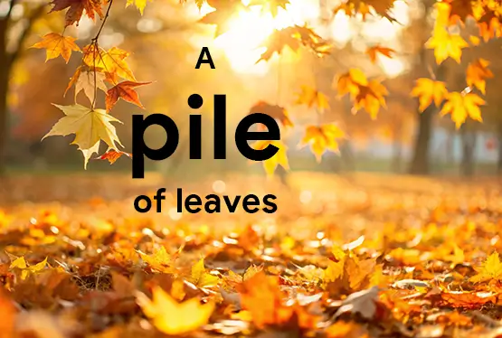 collective-nouns-for-leaves