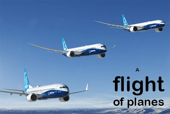 collective-nouns-for-planes