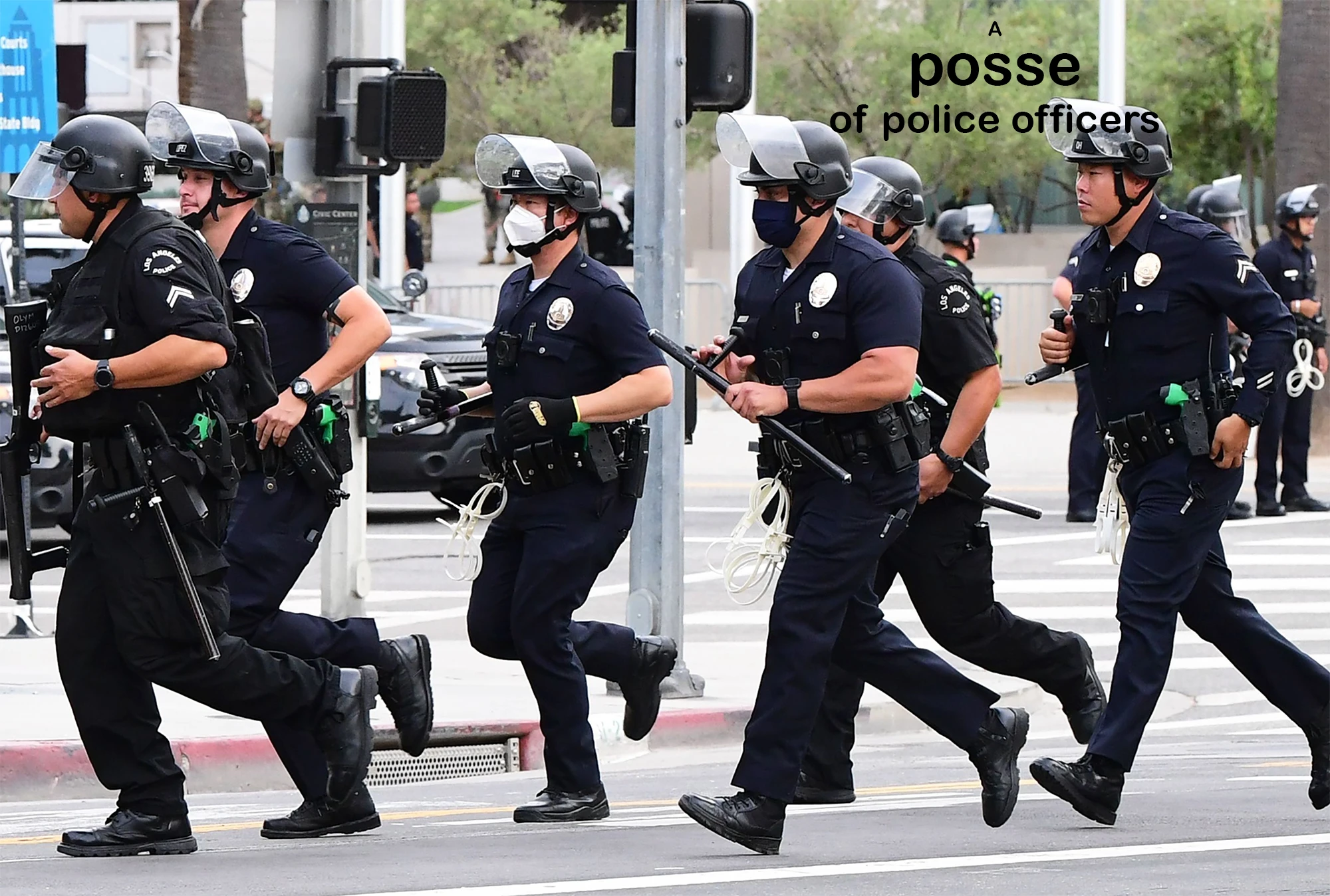 collective-noun-for-police