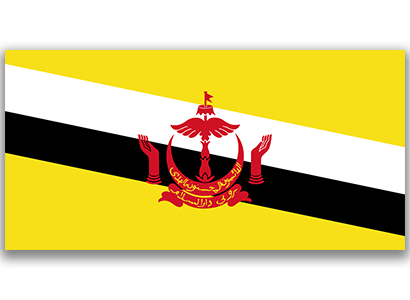 Brunei Flag