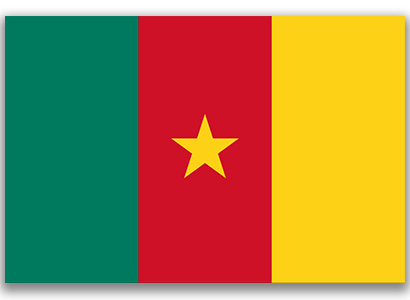 Cameroon Flag