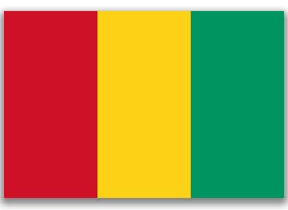 Guinea Flag