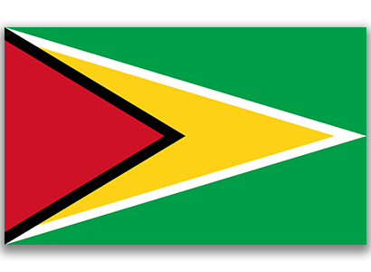 Guyana Flag