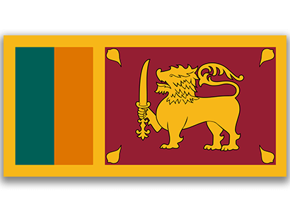 yellow green orange flag with lion